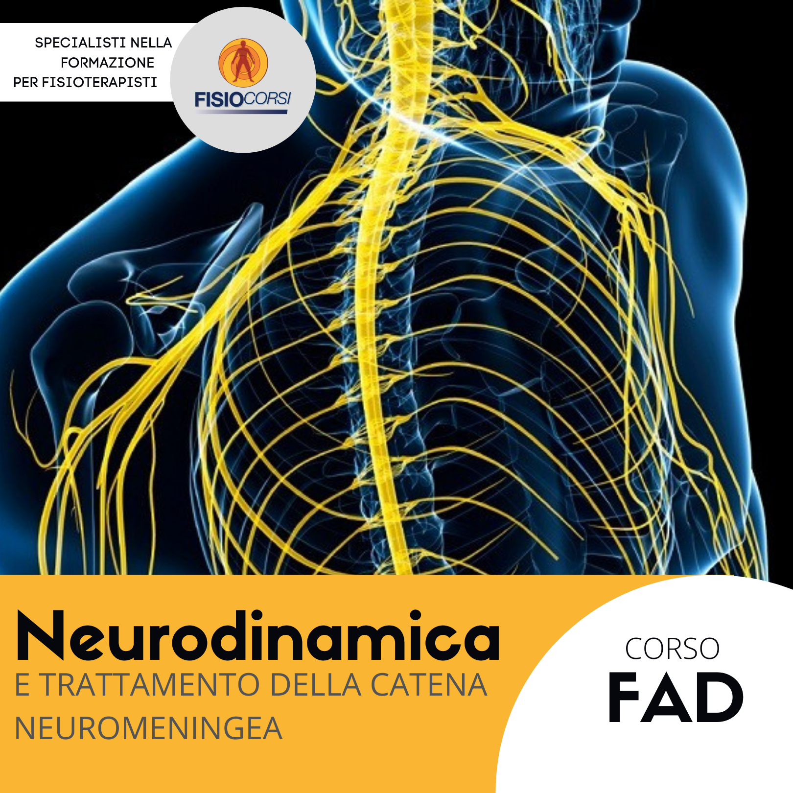 NeurodinamicaFAD