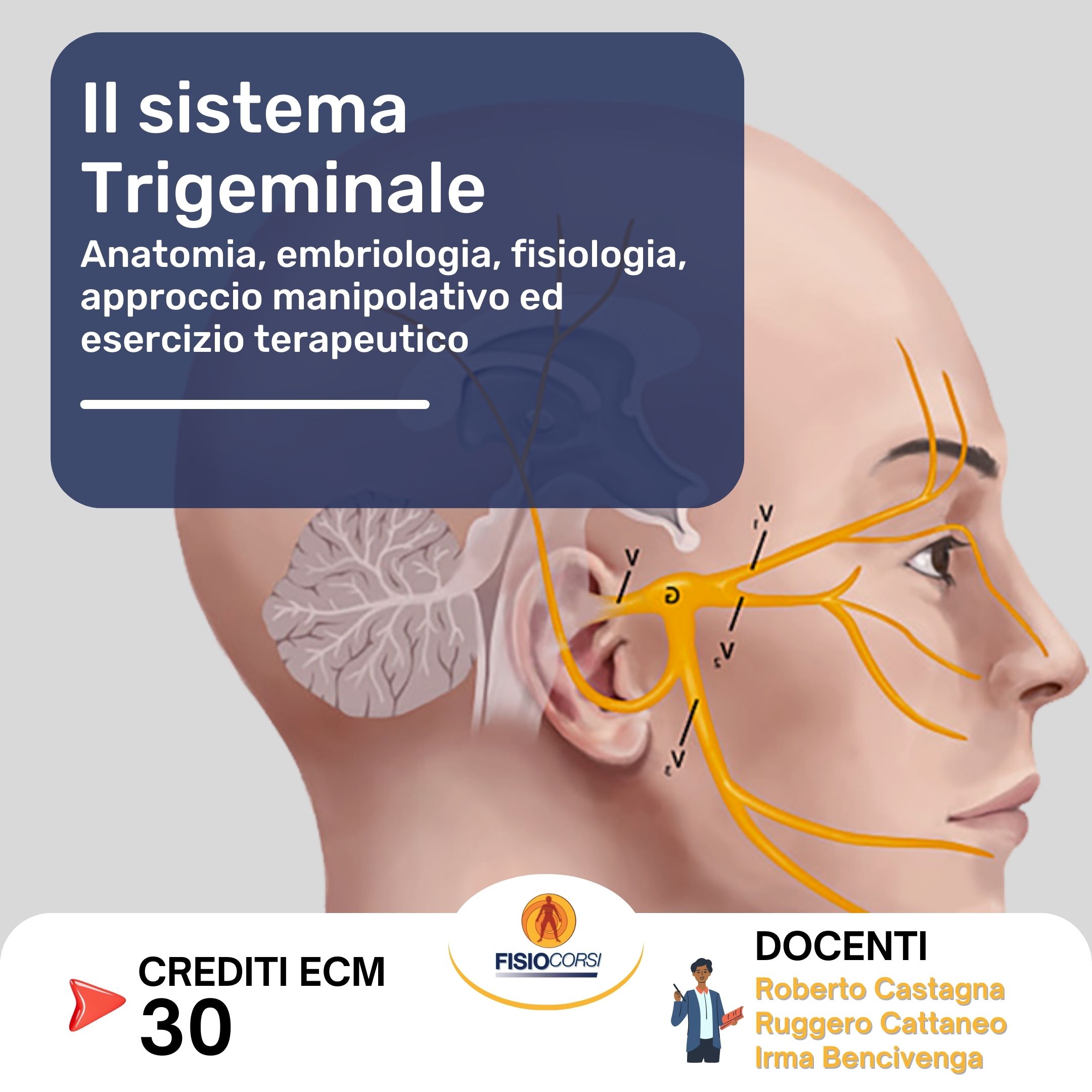 corso trigemino fisiocorsi