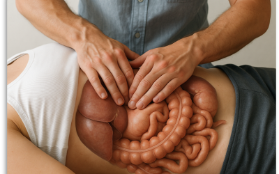 Terapia Manuale e Sistema Digerente: Perchè funziona? Evidenze Scientifiche e Applicazioni Cliniche